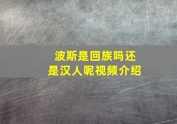 波斯是回族吗还是汉人呢视频介绍