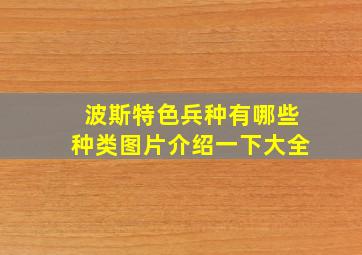 波斯特色兵种有哪些种类图片介绍一下大全