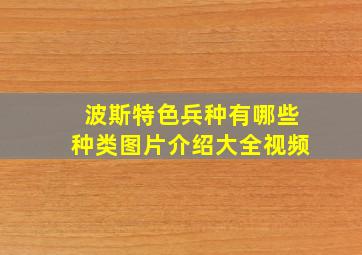 波斯特色兵种有哪些种类图片介绍大全视频