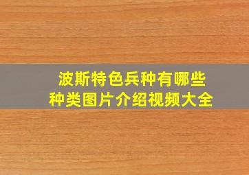 波斯特色兵种有哪些种类图片介绍视频大全