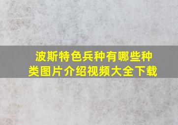 波斯特色兵种有哪些种类图片介绍视频大全下载