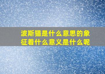 波斯猫是什么意思的象征着什么意义是什么呢