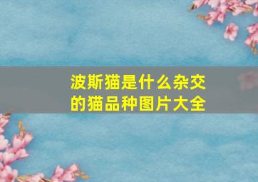 波斯猫是什么杂交的猫品种图片大全