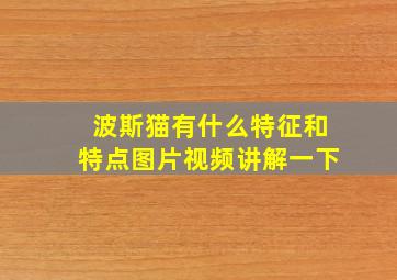 波斯猫有什么特征和特点图片视频讲解一下