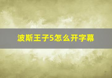 波斯王子5怎么开字幕