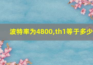 波特率为4800,th1等于多少