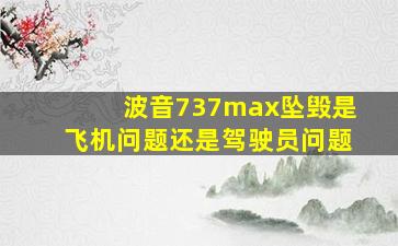 波音737max坠毁是飞机问题还是驾驶员问题