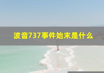 波音737事件始末是什么