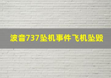 波音737坠机事件飞机坠毁