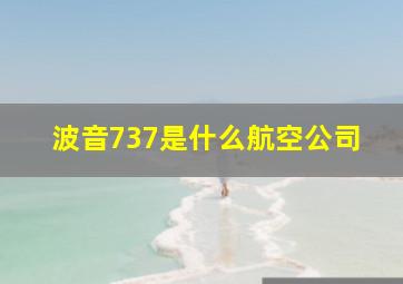 波音737是什么航空公司