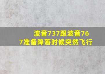 波音737跟波音767准备降落时候突然飞行