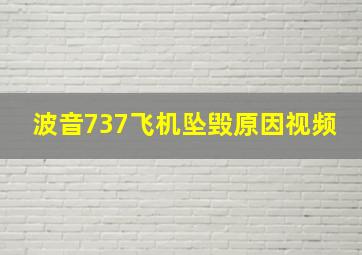 波音737飞机坠毁原因视频