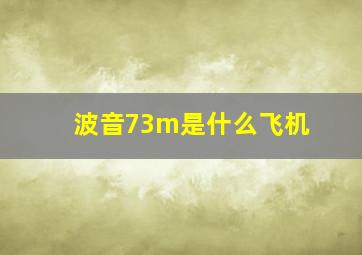 波音73m是什么飞机