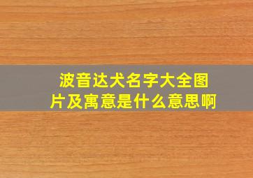 波音达犬名字大全图片及寓意是什么意思啊