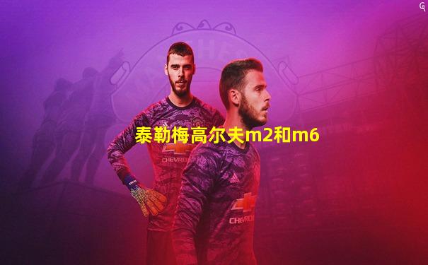 泰勒梅高尔夫m2和m6