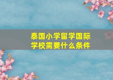 泰国小学留学国际学校需要什么条件