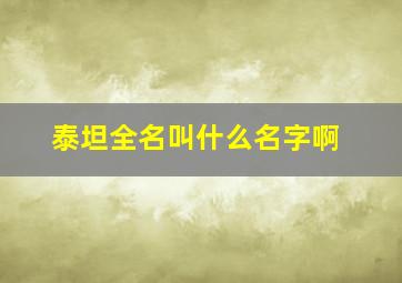 泰坦全名叫什么名字啊