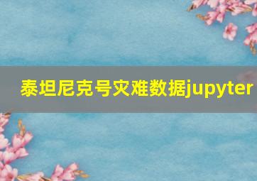 泰坦尼克号灾难数据jupyter