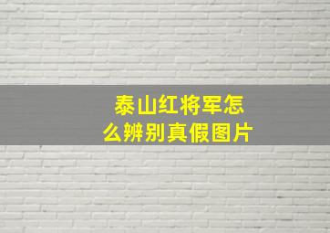 泰山红将军怎么辨别真假图片