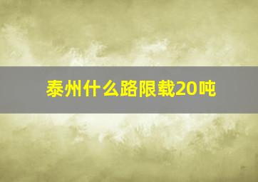 泰州什么路限载20吨