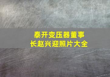 泰开变压器董事长赵兴迎照片大全