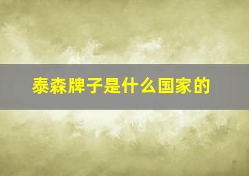 泰森牌子是什么国家的