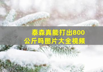 泰森真能打出800公斤吗图片大全视频