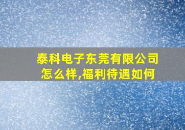 泰科电子东莞有限公司怎么样,福利待遇如何