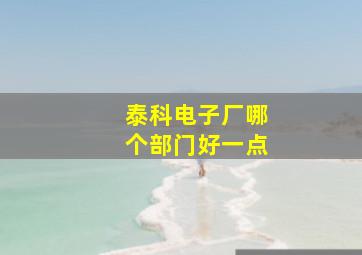 泰科电子厂哪个部门好一点