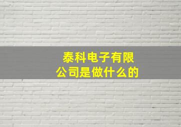 泰科电子有限公司是做什么的