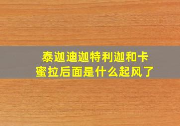 泰迦迪迦特利迦和卡蜜拉后面是什么起风了