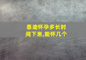 泰迪怀孕多长时间下崽,能怀几个