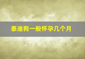 泰迪狗一般怀孕几个月