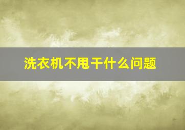 洗衣机不甩干什么问题