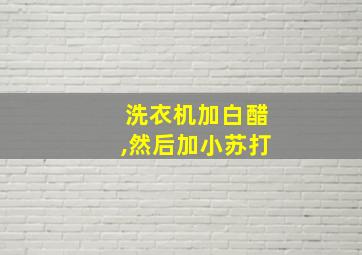 洗衣机加白醋,然后加小苏打