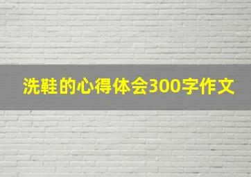 洗鞋的心得体会300字作文