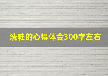 洗鞋的心得体会300字左右