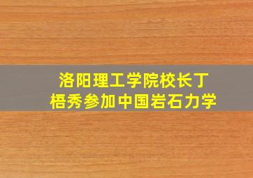 洛阳理工学院校长丁梧秀参加中国岩石力学