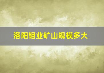 洛阳钼业矿山规模多大