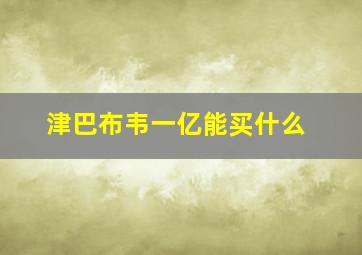 津巴布韦一亿能买什么