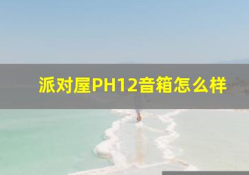 派对屋PH12音箱怎么样