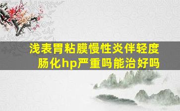 浅表胃粘膜慢性炎伴轻度肠化hp严重吗能治好吗