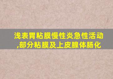 浅表胃粘膜慢性炎急性活动,部分粘膜及上皮腺体肠化