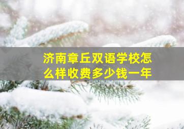 济南章丘双语学校怎么样收费多少钱一年