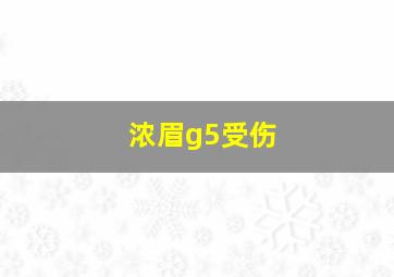 浓眉g5受伤