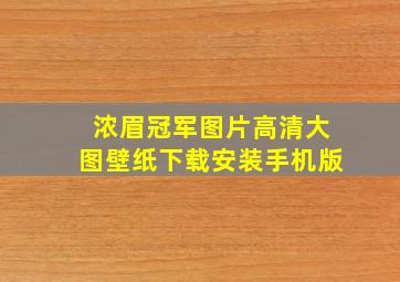 浓眉冠军图片高清大图壁纸下载安装手机版