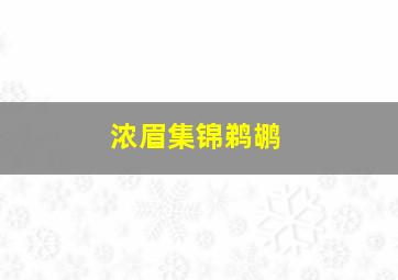 浓眉集锦鹈鹕