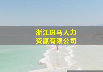 浙江斑马人力资源有限公司