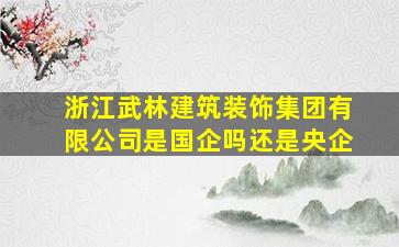 浙江武林建筑装饰集团有限公司是国企吗还是央企