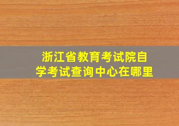 浙江省教育考试院自学考试查询中心在哪里